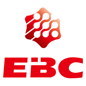 Everbiz Logo